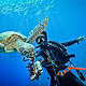 Underwater Wide Angle Portrait Photography