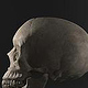 Skull2