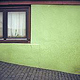 Grüne Wand