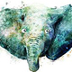 Elefant Portrait Illustration