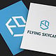 flying-skycam 03