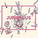 Juniperus – Wacholder