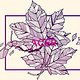Acer – Bergahorn