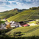 Weinfotografie im Weinparadies Durbach, Ortenau, Baden