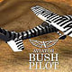 Aviator-Bush-Pilot-