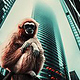 city ape