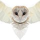 Owl Geometric