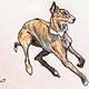 „Hund mit Fliege“ Buntstift, Fineliner auf Zeichenkarton