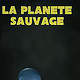 phantastic planet poster 2