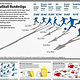 Gestaltung von Infografik-Beiträgen