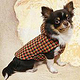 Wltt FashionDesign & Hundebekleidung