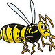 Wespe
