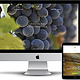 Webdesign, responsive CSS, Revolution Slider, individuelle Theme Entwicklung – www.vinisumisura.com