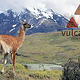 vulcanito Logodesign und Corporate Design