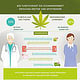 Infografik-Cannabis