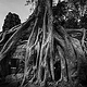 Angkor Ta Phrom