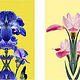 „Flowers on Speed“ 2, digital collage