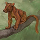 fossa
