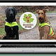 Webdesign – Waldschutz mit Hund