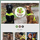 Webdesign – Waldschutz mit Hund