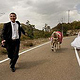 Big Wedding, Nagorno Karabakh. About 700 couples got married on 16.10.2008.