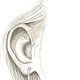 Bleistiftzeichnung „Menschliches Ohr“