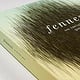 Fennesz / Buchcover