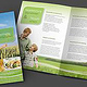 Nachhaltigkeis-Broschüre Velicso