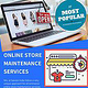Online Store Maintenance Services | Saivion India