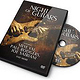 DVD Gestaltung „Night of Guitars“