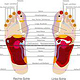 Fussreflexzonen erläutert
