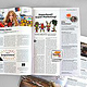 Editorial Design Handelsblatt Newcomer