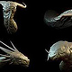 dragon heads – highpoly sculpts (ZBrush)