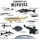 Fische der Nordsee