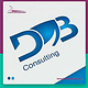 Daniel Blinzler Consulting Logo und Flyer