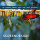 gea_graphics Screendesign