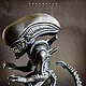 Alien | Xenomorph Side