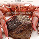 Surf&Turf Foodphotography