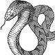 VerenaFaeth snake