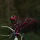 Kolibri aus Zweigen