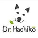 Dr. Hachiko, 2018