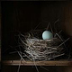 Nest