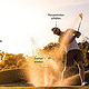 Werbung und Kampagnen Deutscher Golf Verband