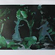 Orpheus & Eurydike: Im Hades (grün), 2017, Digitaldruck auf Papier (matt), 41cm x 29cm