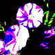 Flower 5 / Blüte 5