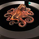 Octopus, genutzt als interaktive Projektionsfläche