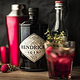 Produkt, Hendricks Gin