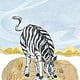 Das verwirrte Zebra aus dem „Maskenball der Tiere“, Ebook von Hans Gärtner, Schillo Verlag 2020