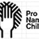 Pro Namibian Children – Rebranding