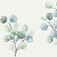 suzana-mujakovic-eucalyptus-watercolour-illustration